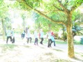 Tn DSC 1980